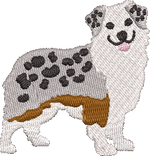 Aussie Shepard