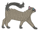 Balinese Cat