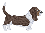 Tricolor Basset Hound