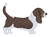 Tricolor Basset Hound