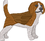 Beagle