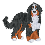 Bernedoodle