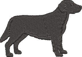 Black Lab Embroidered Icon