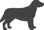 Black Labrador Retriever