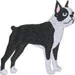 TEST Dog Icon