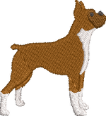 Boxer