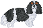 Tricolor Cavalier King Charles Spaniel
