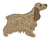 Cocker Spaniel