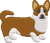 Corgi