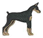 Doberman