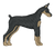 Doberman