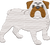English Bulldog