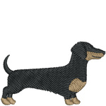 Black and Tan Dachshund