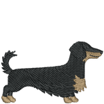 Black and Tan Long Haired Dachshund
