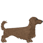 Brown Long Haired Dachshund