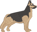 German Shepard