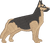German Shepard