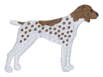 German Shorthaired Pointer