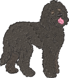 Goldendoodle Black Embroidered Icon