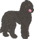 Black Doodle