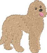 Blonde Doodle