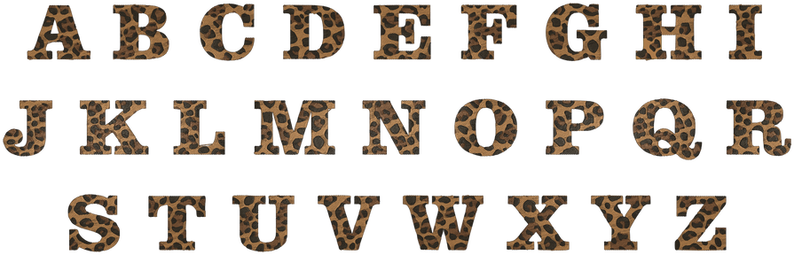 Cheetah Initial Charm