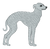 Italian Greyhound