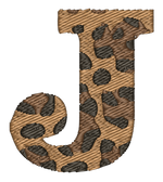 Cheetah J