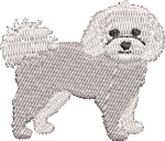 Bichon Frise