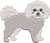 Bichon Frise