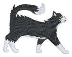 Black and White Long Hair Cat