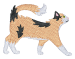 Long Hair Calico Cat