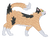 Long Hair Calico Cat