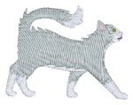 Grey and White Long Hair Cat
