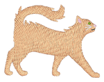 Orange Long Hair Cat