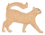 Orange Long Hair Cat