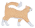 Orange and White Long Hair Cat