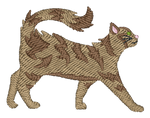 Long Hair Striped Cat 