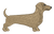 Tan Dachshund