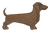 Brown Dachshund