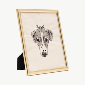 Pet Portrait
