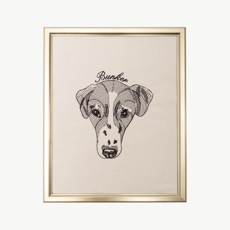 Pet Portrait