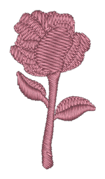 Pink Rose