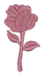 Pink Rose