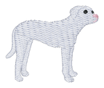 White Pit Bull