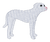 White Pit Bull