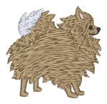 Pomeranian