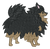 Tricolor Pomeranian