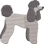 Poodle