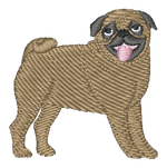 Pug